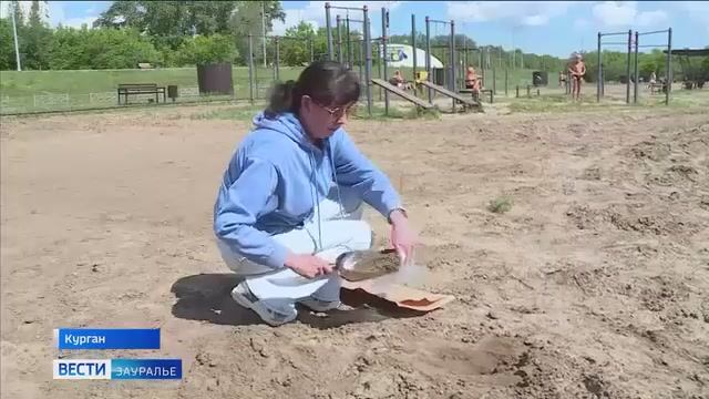 Курганские пляжи проверяют перед открытием купального сезона.