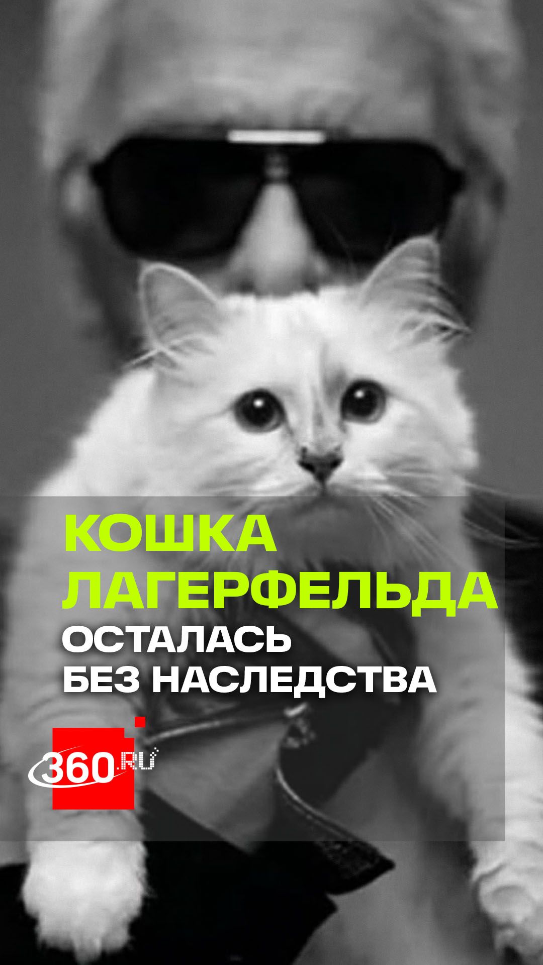 Любимица Карла Лагерфельда должна была унаследовать миллионы после смерти хозяина