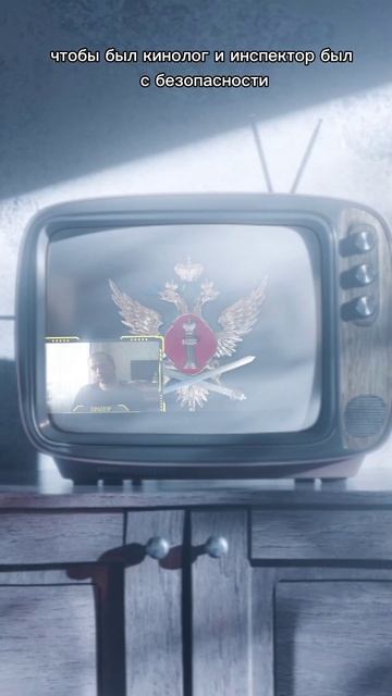 ИНТЕРВЬЮ:МОСКВА СЧИТАЕТ НАС РАСХОДНЫМ МАТЕРИАЛОМ #прапор #shorts #фсин смотреть онлайн