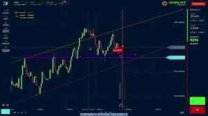 Бинариум — результаты за день
