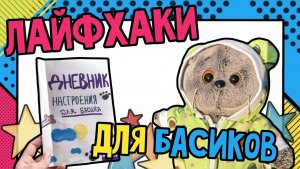 ЛАЙХАКИ ДЛЯ КОТОВ БАСИКОВ / советы по уходу