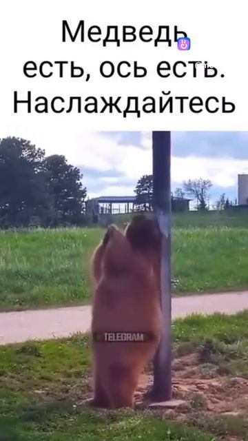 vkclips_20260529053557