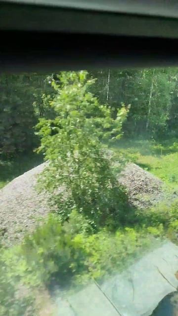угадали? смотреть онлайн