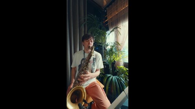 Шербурские зонтики - Анатолий Ронжин