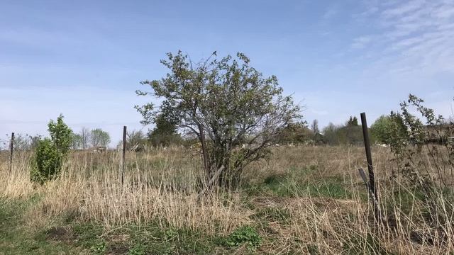 6823320 смотреть онлайн