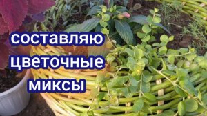 Составляю цветочные миксы. Начало. Рабочие моменты.
