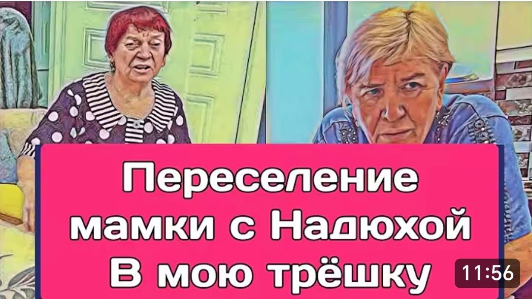 САМВЕЛ АДАМЯН, ОБЗОР ОТ ОЛЬГИ, ПЕРЕСЕЛЕНИЕ МАМКИ С НАДЮХОЙ В МОЮ ТРЕШКУ.. смотреть онлайн