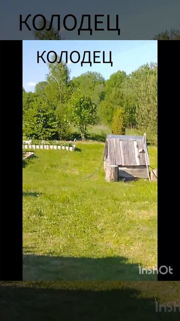 мои богадства чек