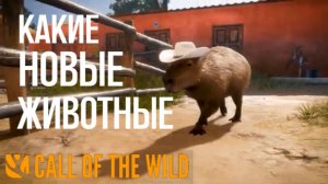 Какие животные будут в новом заказнике в the Hunter Call of the Wild