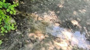 Большой субботник в СНТ.