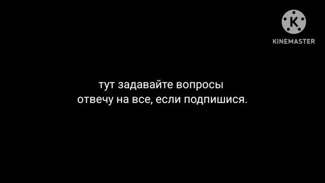 вопросы(можно задавать вопросы до 5)