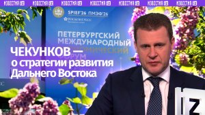 Инвестиционный поток на Дальний Восток и в Арктику не замедлялся — министр Чекунков