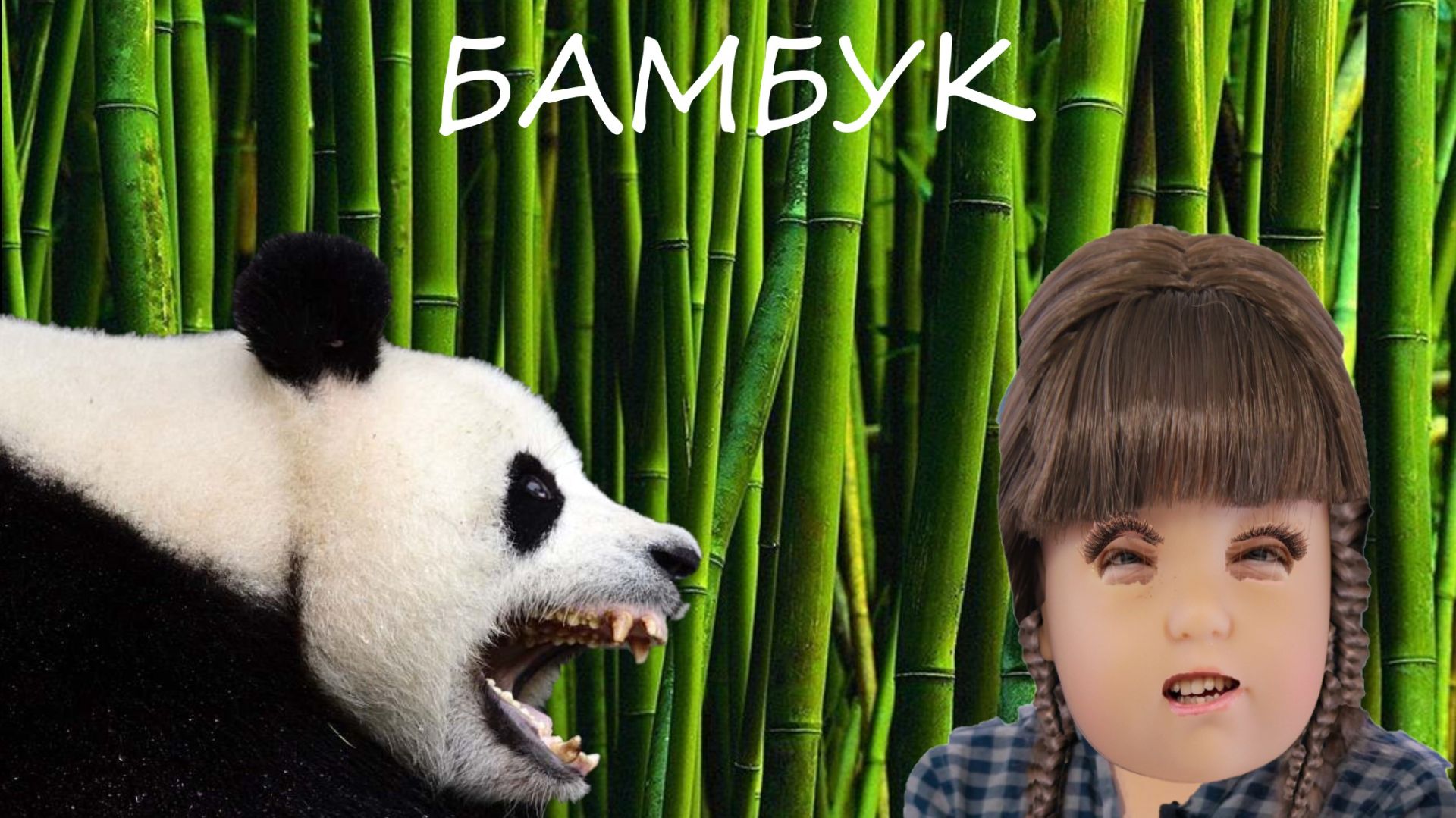 Бамбук. Экоюмор в анимации.