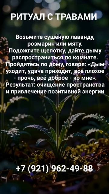 ТРАВЫ #онлайн #ритуал #shorts #светланаведа