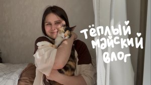 такой май: banana bread, рассказы о цирке, цветы и кофе