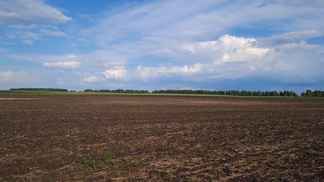Ищу монеты в старом месте с EQUINOX 700