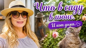 😹 Кот дома. Диджей едет. Шины пропали.