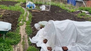 Жизнь в развалюхе Бабушка старенькая , путается во времени