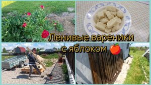 ✅Жизнь без фильтра✅Ленивые вареники.Продолжаю красить доски.Плохая всхожесть