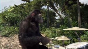 Coldplay - Adventure Of A Lifetime