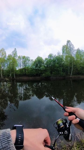 Разловил #рекомендации #щука #fishing #спиннинг #fishingvideo #рек