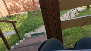 СОЧИ ГОРНОЕ ЛОО УТРО 05.07.2026