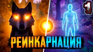 PAWS AND SOUL #1 - Загадочный лес. Реинкарнация