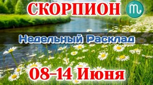СКОРПИОН♏ Недельный расклад 08-14 ИЮНЯ /Таро Прогноз/Сферы жизни