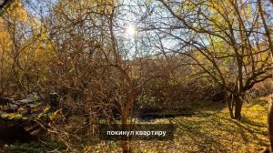 СЧАСТЬЕ В ДЕРЕВНЕ; Я плакала когда читала эту историю... Рассказ, который трогает до слёз.