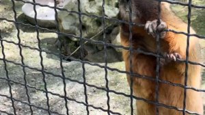 Мы поехали проведать наших общипанных попугаев и были ПРИЯТНО УДИВЛЕНЫ❤️