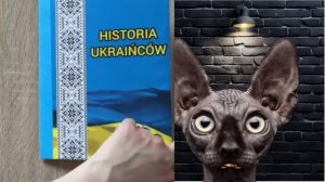 Не будем тянуть и откладывать, ибо потом будет нечего и нечем / Кот Костян
