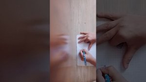 795.mp4