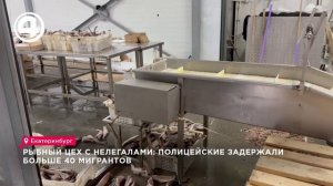 В рыбных цехах в Екатеринбурге задержали более 40 мигрантов
