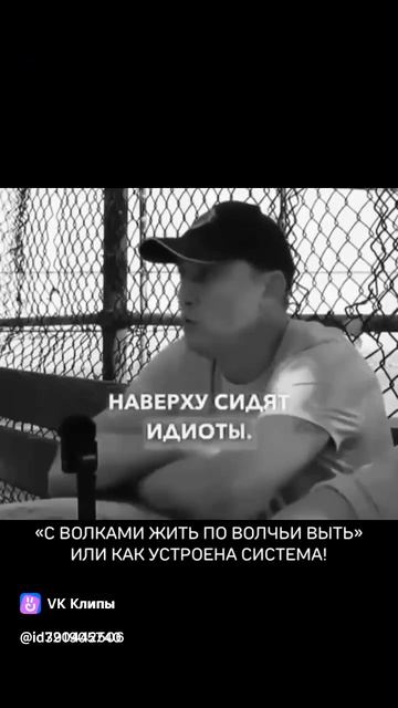 vkclips_20260531061016