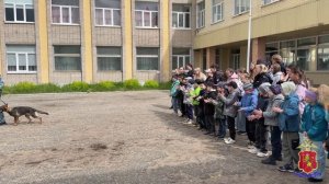 Полицейские - кинологи, инспекторы ПДН и студенты поздравили ребят с Днем защиты детей