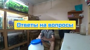 Ответы на вопросы