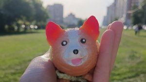 опять гуляю с Арчи 😜🌸