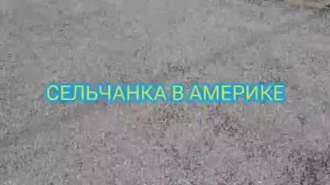 Сельчанка в Америке ГАРАЖКА В АМЕРИКЕ ЧТОБЫ ВЫ ЗДЕСЬ КУПИЛИ