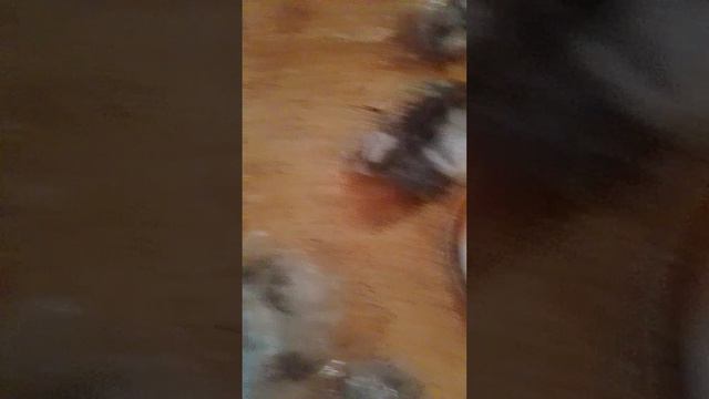 1600.mp4 смотреть онлайн
