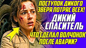 Истории из жизни!Дикий спаситель!Аудио рассказы!Аудиокниги слушать онлайн!Жизненные истории
