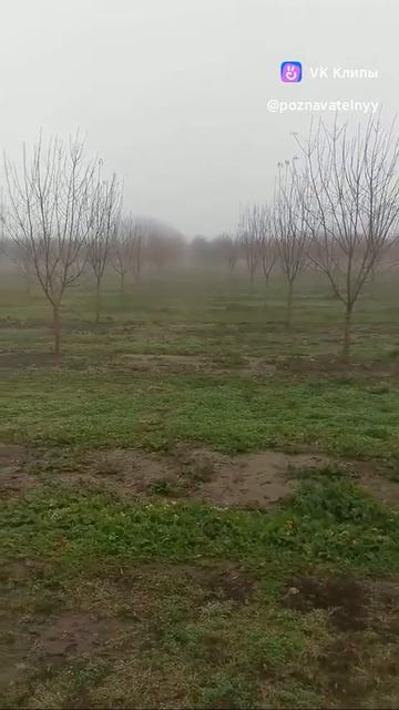 vkclips_20260530082259
