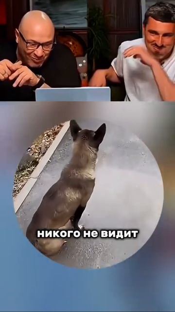 братан ноль реакции? 