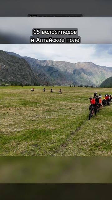 15 велосипедов и Алтайское поле #алтай #drone #велосипед