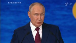 Владимир Путин рассказал об обороте иностранных товаров на Wildberries