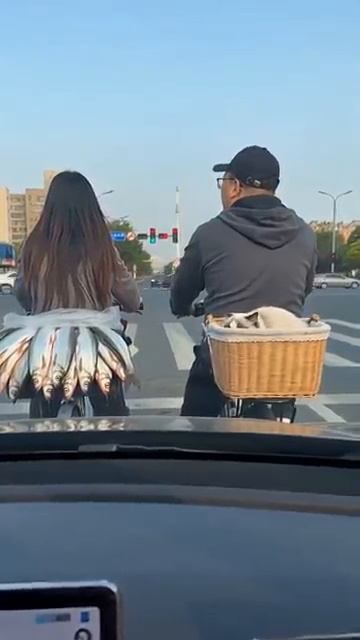 Caught Stealing Fish Angry Cat Reaction Shorts