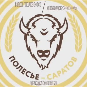Полесье - Саратов