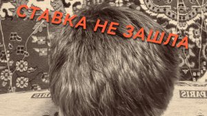 СТАВКА НЕ ЗАШЛА (Котик5к feat. Арсенекс)