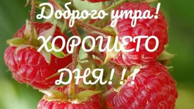 С добрымлетним утром!