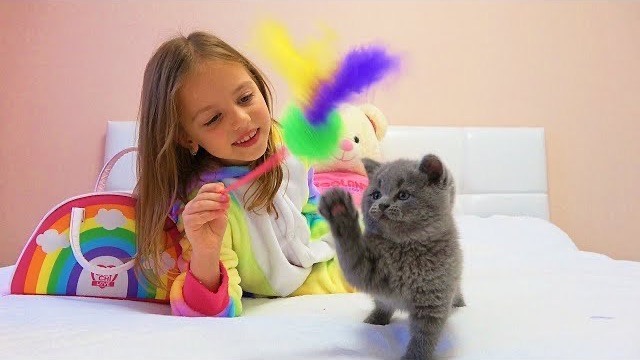 Котенок Тим
