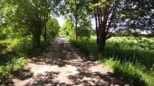 Прогулка в погожий летний денёк.